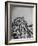 Thrill Seekers at the Top of the Cyclone Roller Coaster at Coney Island Amusement Park-Marie Hansen-Framed Photographic Print