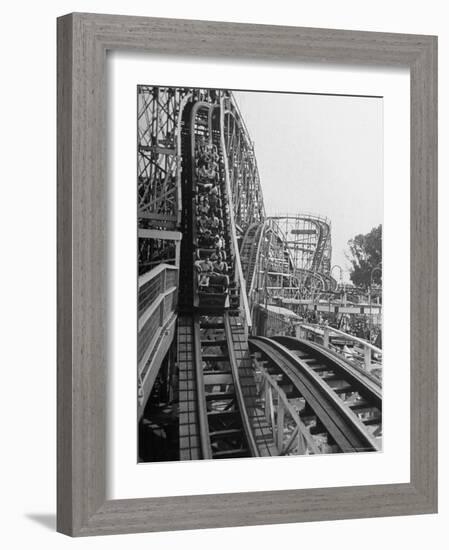 Thrill Seekers Getting a Hair Raising Ride on Cyclone Roller Coaster at Coney Island Amusement Park-Marie Hansen-Framed Photographic Print