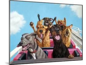 Thrill Seekers-Lucia Heffernan-Mounted Art Print
