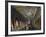 Throne Room-null-Framed Giclee Print