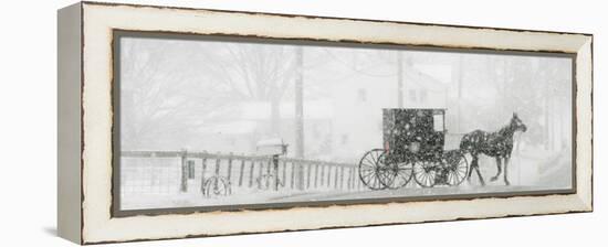 Through a Driving Snow Storm, an Amish Buggy Travels Along a Road in Parkman, Ohio-null-Framed Premier Image Canvas