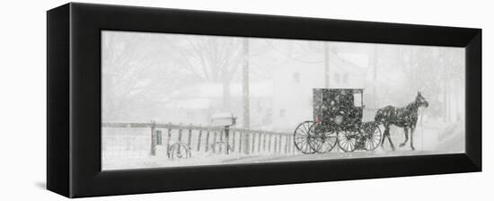 Through a Driving Snow Storm, an Amish Buggy Travels Along a Road in Parkman, Ohio-null-Framed Premier Image Canvas