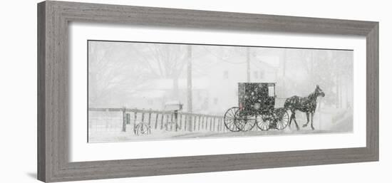 Through a Driving Snow Storm, an Amish Buggy Travels Along a Road in Parkman, Ohio-null-Framed Photographic Print