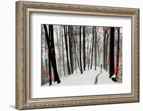 Through Autumn and Winter-Samanta-Framed Photographic Print