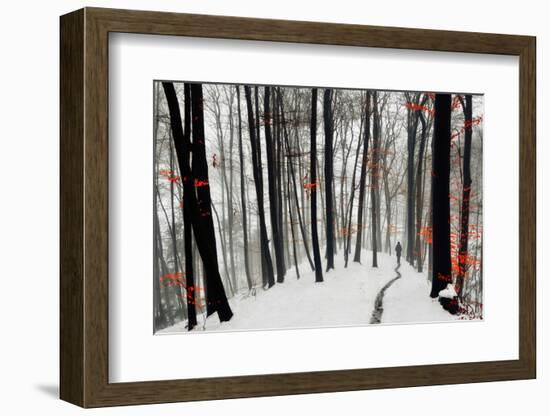 Through Autumn and Winter-Samanta-Framed Photographic Print