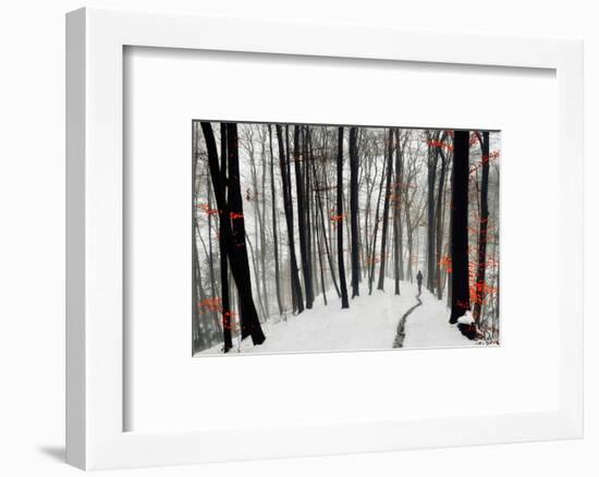 Through Autumn and Winter-Samanta-Framed Photographic Print