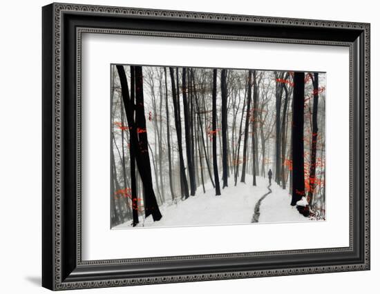 Through Autumn and Winter-Samanta-Framed Photographic Print