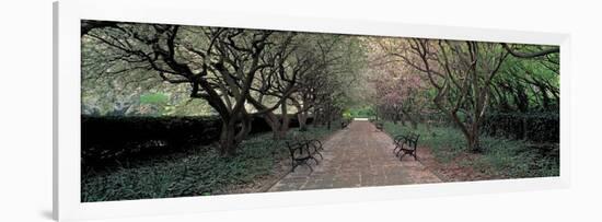Through Conservatory Garden, Central Park, NYC-Richard Berenholtz-Framed Art Print
