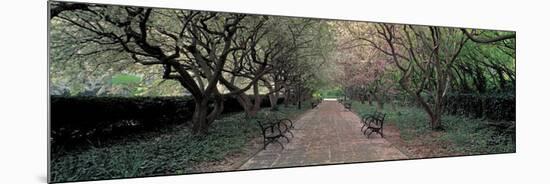 Through Conservatory Garden, Central Park, NYC-Richard Berenholtz-Mounted Art Print