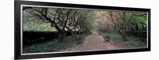 Through Conservatory Garden, Central Park, NYC-Richard Berenholtz-Framed Art Print