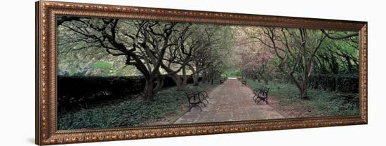 Through Conservatory Garden, Central Park, NYC-Richard Berenholtz-Framed Art Print