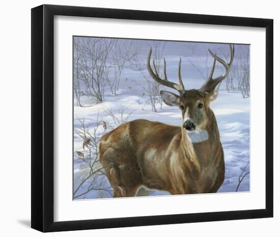 Through My Window: Whitetail Deer-Joni Johnson-godsy-Framed Art Print