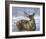 Through My Window: Whitetail Deer-Joni Johnson-godsy-Framed Art Print