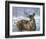 Through My Window: Whitetail Deer-Joni Johnson-godsy-Framed Art Print