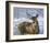 Through My Window: Whitetail Deer-Joni Johnson-godsy-Framed Art Print