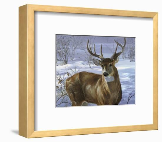 Through My Window: Whitetail Deer-Joni Johnson-godsy-Framed Giclee Print