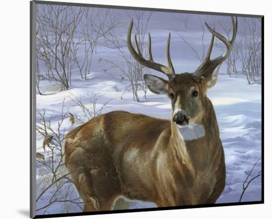 Through My Window: Whitetail Deer-Joni Johnson-godsy-Mounted Giclee Print