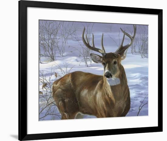 Through My Window - Whitetail Deer-Joni Johnson-godsy-Framed Art Print