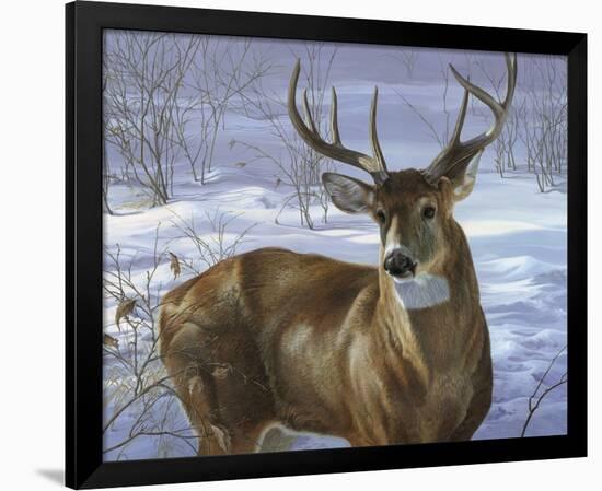 Through My Window - Whitetail Deer-Joni Johnson-godsy-Framed Art Print