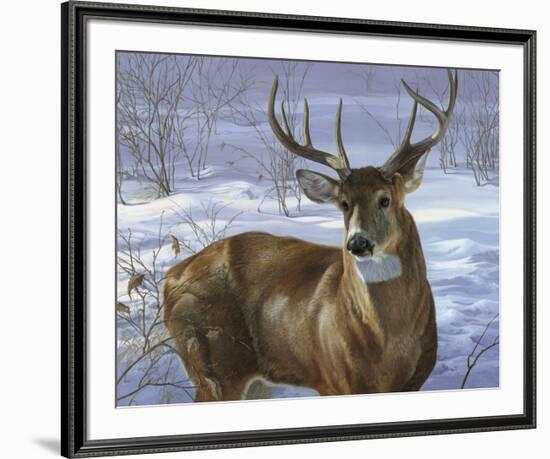 Through My Window - Whitetail Deer-Joni Johnson-godsy-Framed Art Print