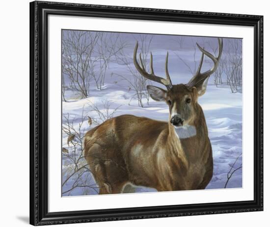 Through My Window - Whitetail Deer-Joni Johnson-godsy-Framed Art Print