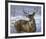 Through My Window - Whitetail Deer-Joni Johnson-godsy-Framed Art Print