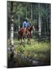 Through the Aspen-Jack Sorenson-Mounted Art Print