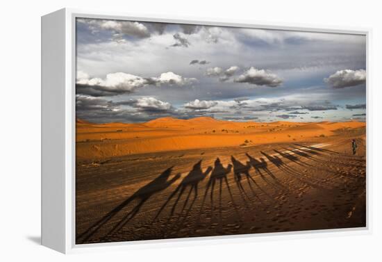 Through the Dunes of Merzouga (Morocco).-Joxe Inazio-Framed Premier Image Canvas