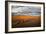 Through the Dunes of Merzouga (Morocco).-Joxe Inazio-Framed Photographic Print