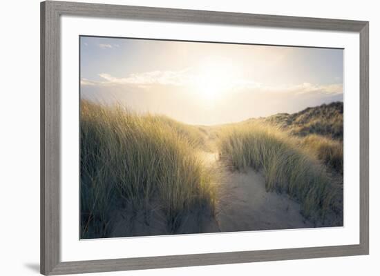 Through the Dunes-Steve Docwra-Framed Giclee Print