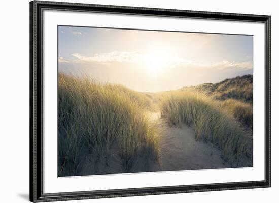 Through the Dunes-Steve Docwra-Framed Giclee Print