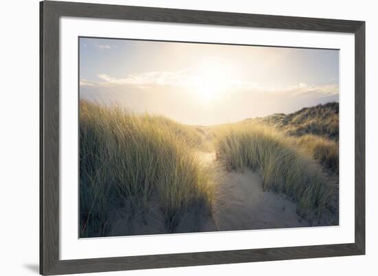 Through the Dunes-Steve Docwra-Framed Giclee Print