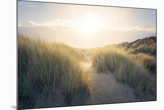 Through the Dunes-Steve Docwra-Mounted Giclee Print