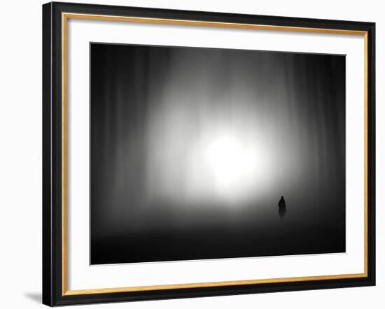 Through the Fog-Josh Adamski-Framed Photographic Print