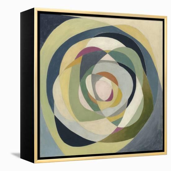 Through the Glass I-Megan Meagher-Framed Stretched Canvas