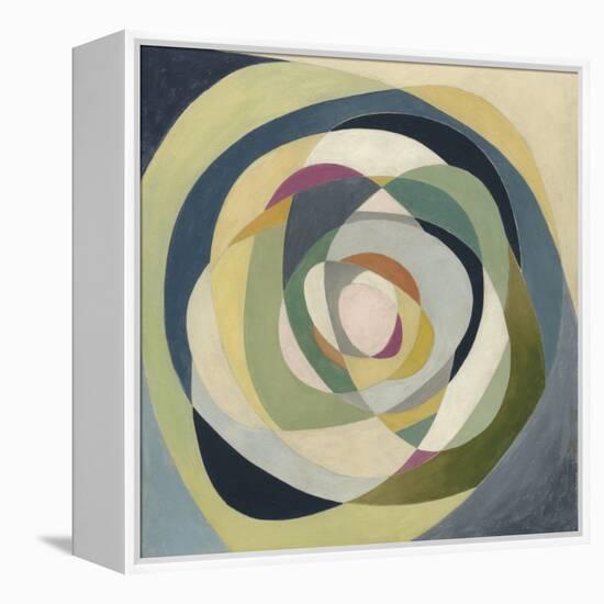 Through the Glass I-Megan Meagher-Framed Stretched Canvas