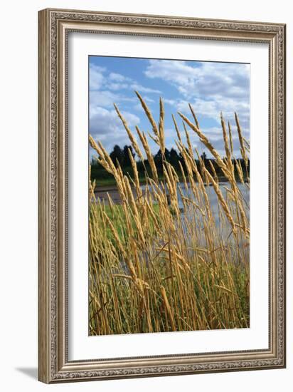 Through the Grass II-Brian Moore-Framed Photographic Print