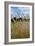 Through the Grass II-Brian Moore-Framed Photographic Print