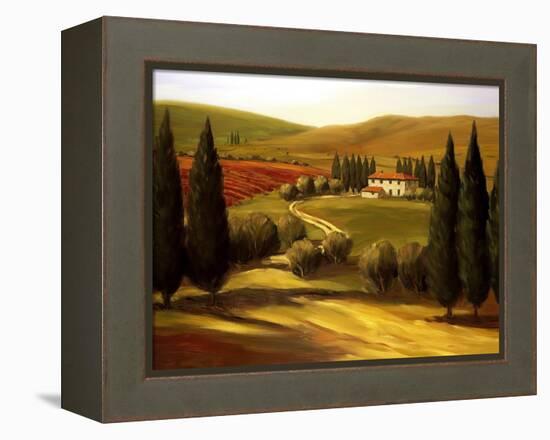 Through the Hills of Tuscany-Tim Howe-Framed Premier Image Canvas