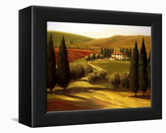 Through the Hills of Tuscany-Tim Howe-Framed Premier Image Canvas