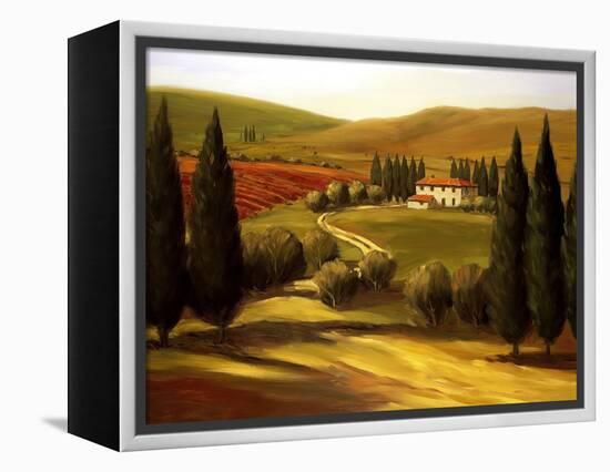 Through the Hills of Tuscany-Tim Howe-Framed Premier Image Canvas