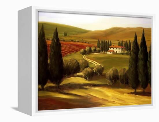 Through the Hills of Tuscany-Tim Howe-Framed Premier Image Canvas