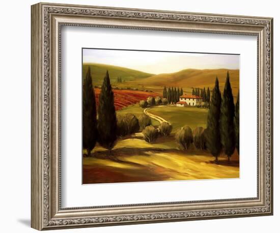 Through the Hills of Tuscany-Tim Howe-Framed Giclee Print