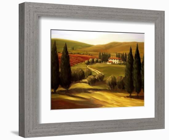 Through the Hills of Tuscany-Tim Howe-Framed Giclee Print