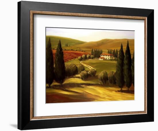 Through the Hills of Tuscany-Tim Howe-Framed Giclee Print