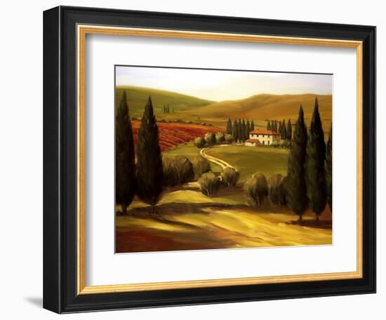 Through the Hills of Tuscany-Tim Howe-Framed Giclee Print