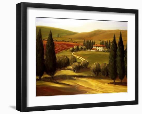 Through the Hills of Tuscany-Tim Howe-Framed Giclee Print