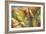 Through the Leaves I-Patricia Pinto-Framed Premium Giclee Print