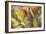 Through the Leaves I-Patricia Pinto-Framed Premium Giclee Print