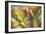 Through the Leaves I-Patricia Pinto-Framed Premium Giclee Print